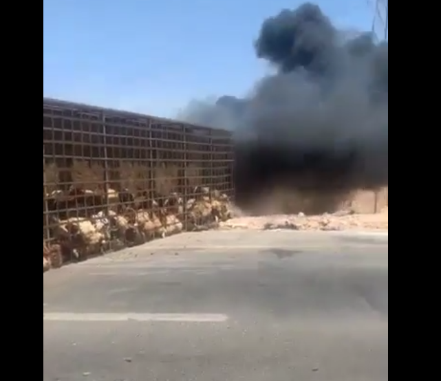 النيران تحاصر أضاحي العيد بالزرقاء