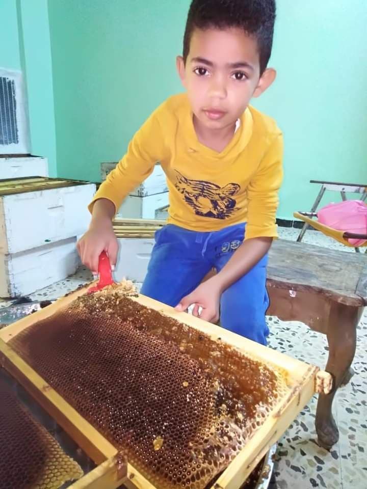 Success story of Jordanian farmer who harvests unique honey made in Jordan, Palestine, and Syria altogether.