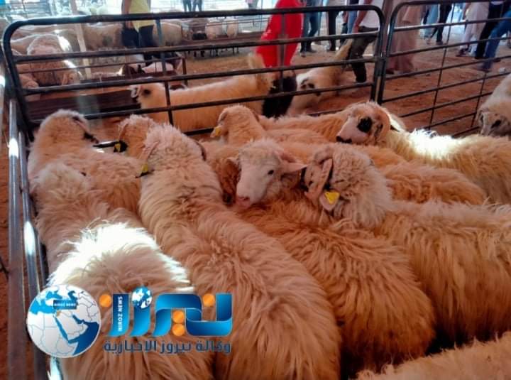 عمان تزهو بعباءات الفرح مع بشائر عيد الأضحى المبارك