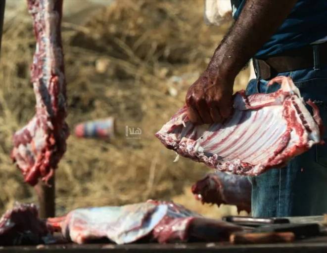 2041 أسرة تستفيد من مساعدات البر والإحسان خلال عيد الاضحى