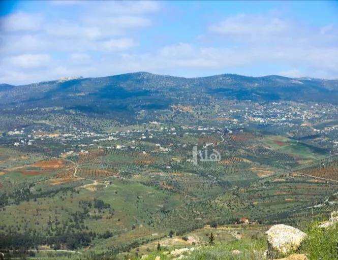 عجلون: التنزه العشوائي يؤثر سلبا على الطبيعة والبيئة