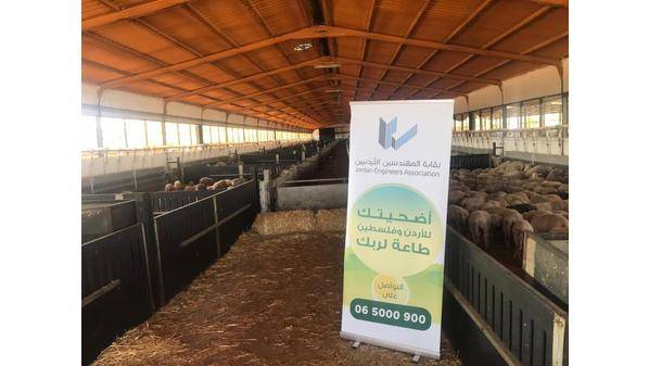 2036 أضحية تم ذبحها خلال حملة أضحيتك طاعة لربك