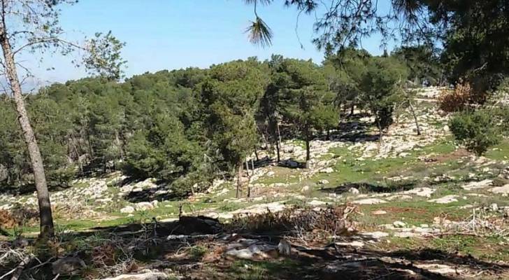 الزراعة: 400500 اعتداء على الأراضي الحرجية سنويا