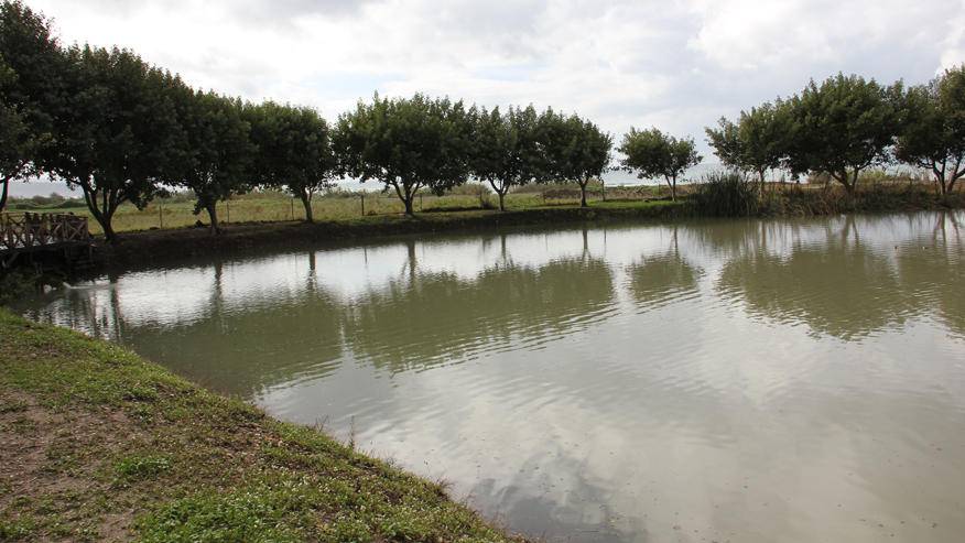 الغرق بالبرك الأكثر تعاملاً من الدفاع المدني