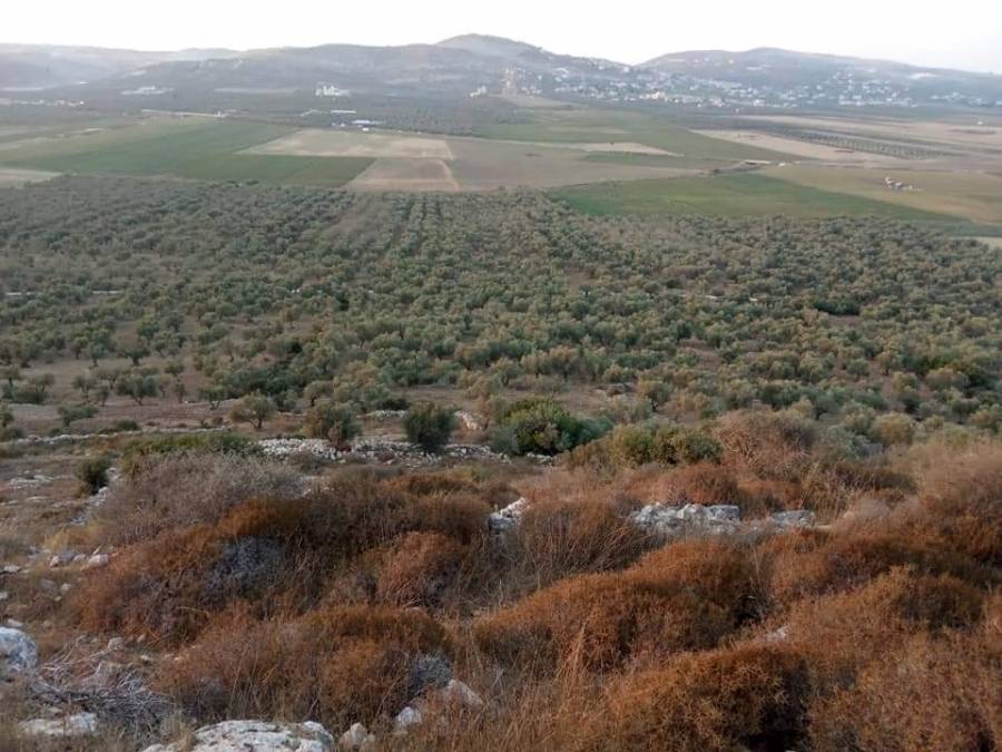 اسماء جنود أردنيين منقوش على حجارة سهل عرابة في فلسطين.