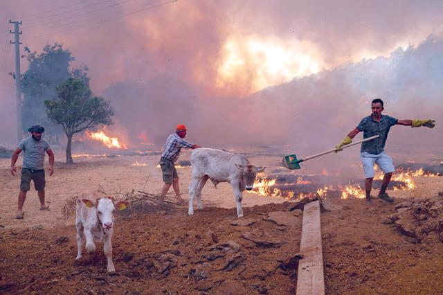 EU sends help to Turkey as wildfire death toll hits eight