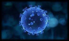 تداعيات كورونا تعيد ترتيب الأولويات والأنماط الحياتية