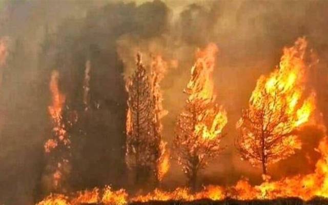 الاردن معرض لظاهرة جوية متطرفة مثل الجفاف والحرائق