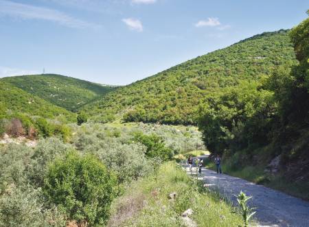 الأجواء نهاية الأسبوع مُناسبة للرحلات