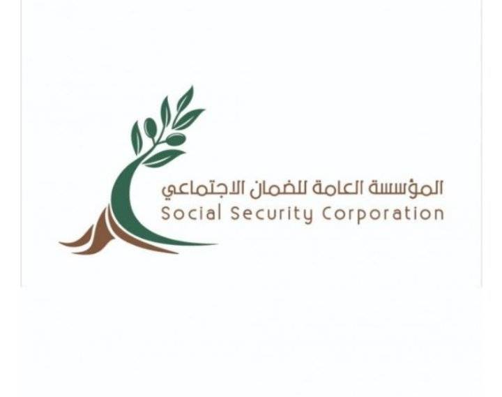 الضمان: إطلاق برنامج حافز الخاص بالاقتصاد الرقمي