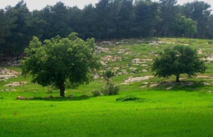 اجواء صيفية عادية في المرتفعات والسهول وحارة في باقي المناطق حتى الاثنين