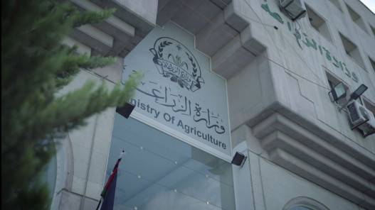 فحوصات مخبرية تؤكد سلبية مصدر إرسالية التمور الأردنية إلى أستراليا