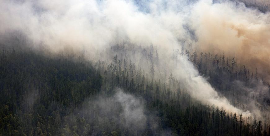 Putin alarmed by unprecedented natural disasters in Russia