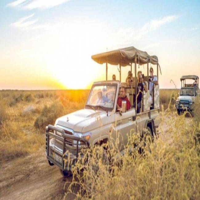 سفاري أفريقي في قلب صحراء الأردن