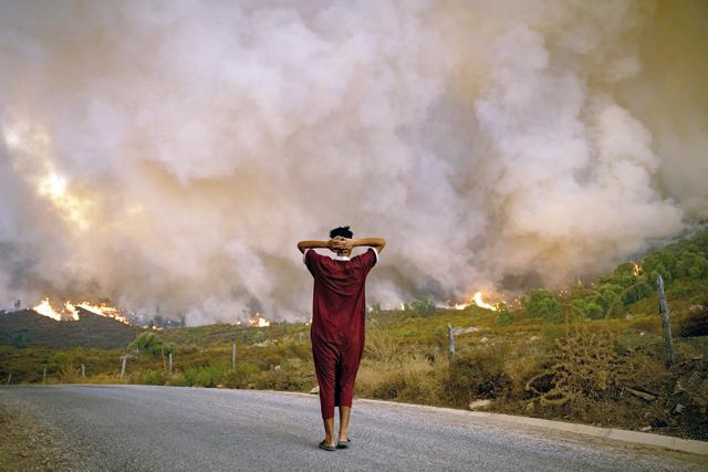 Most Algeria forest fires ‘under control’ — emergency services