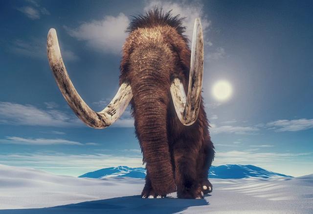 In the footsteps of a woolly mammoth, 17,000 years ago