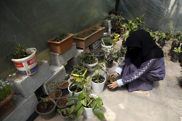 امرأة يمنية تبيع الزهور عبر الإنترنت لجلب طاقة إيجابية