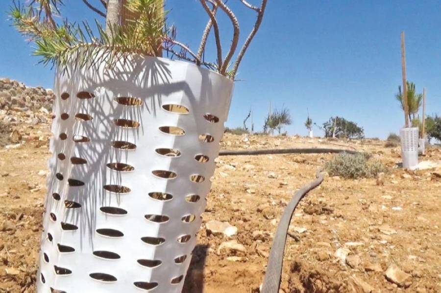 الزراعة بتقنية الشرنقة.. نمط جديد للتغلب على نقص المياه