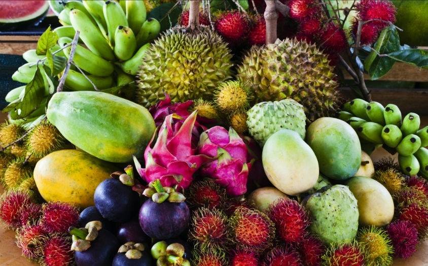 الأردن يدخل نادي منتجي الفواكه الاستوائية.