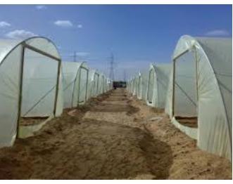 دراسة لباحث أردني تطيل من عمر البلاستيك الزراعي