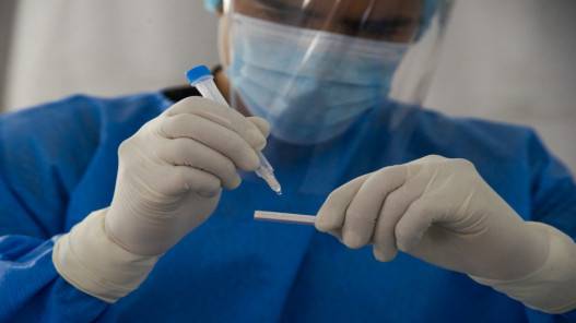 إصابة 8 طلبة مدارس بكورونا ضمن برنامج تعويض الفاقد التعليمي