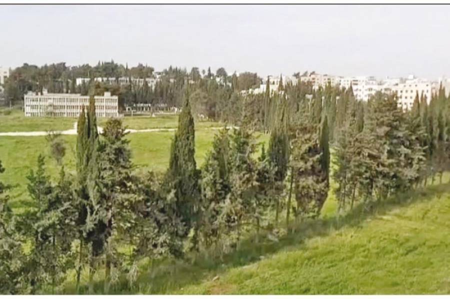 مشروع طاقة شمسية للأونروا يُثير الجدل في ناعور بعد قطع 165 شجرة .. تفاصيل