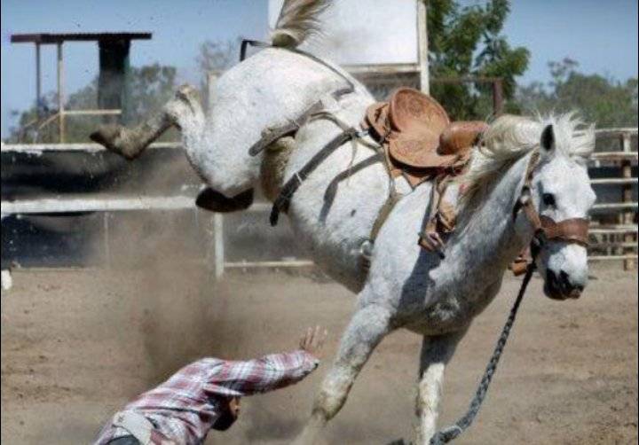 وفاة سيدة اثر دهسها من قبل حصان بلهاشمي الشمالي