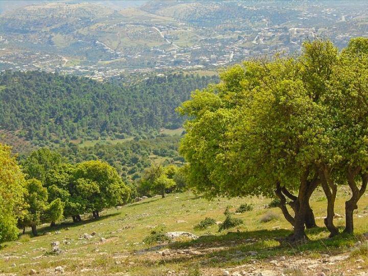 تحذيرات من الأنشطة المهددة للنظم البيئية