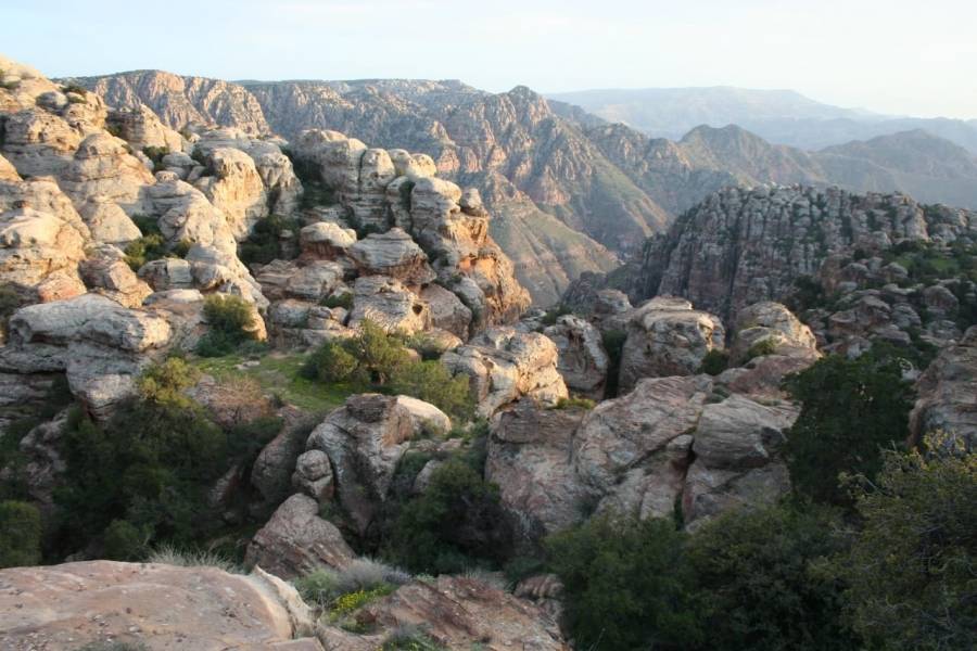 حماية الطبيعة: استخراج النحاس يهدد ضانا وجودياً