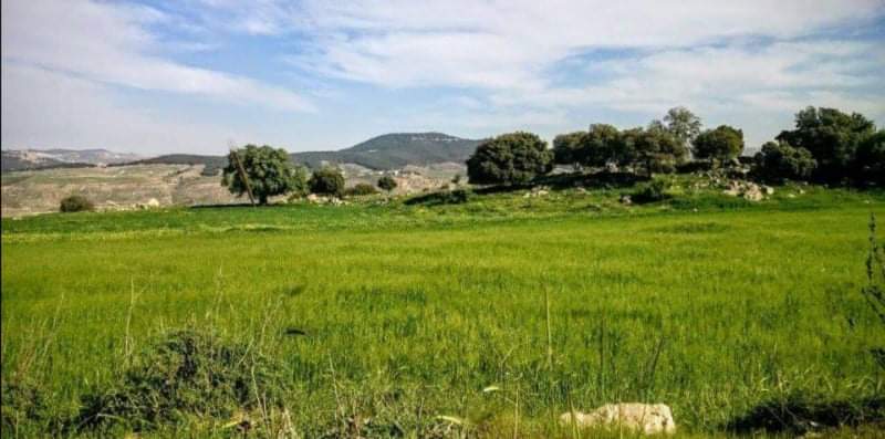 أجواء معتدلة الحرارة ورطبة في أغلب مناطق المملكة