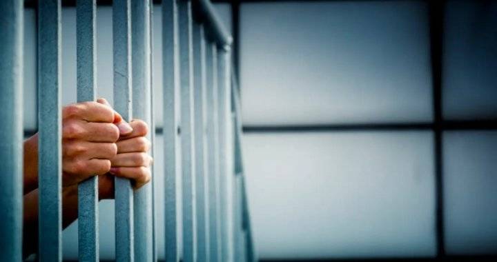 موظف يبيع هواتفا وخطوط قدمت لوزارته كعروض