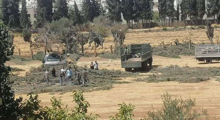 الأونروا توضح حول إزالة أشجار لمشروع الطاقة الشمسية لوكالة الغوث