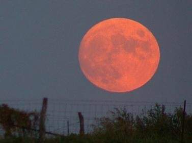 دعوة لحضور امسية قمر الحصادين 2021.