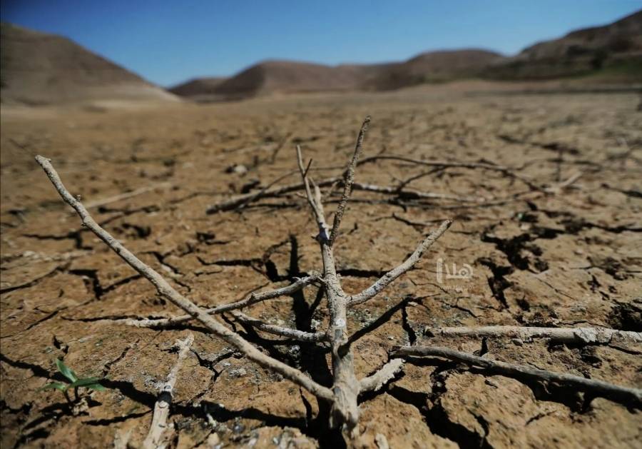 400 مُزارع يتجهون لطلب تعويضات من المياه عن جفاف الوالة