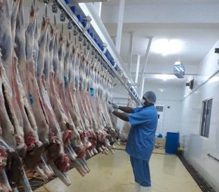 اعتزام إنشاء مسلخ يخدم مناطق الأغوار