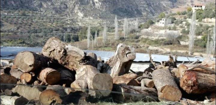 زراعة عجلون: لجنة لتوزيع الحطب على المستفيدين من صندوق المعونة