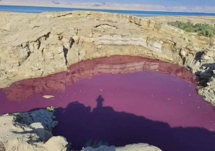 محاسنة: المنغنيز وراء “المياه الحمراء”.. ونفحص “السوداء”