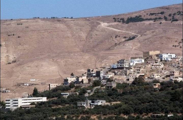 سقوط شجرة يقطع الكهرباء عن مناطق بالطفيلة