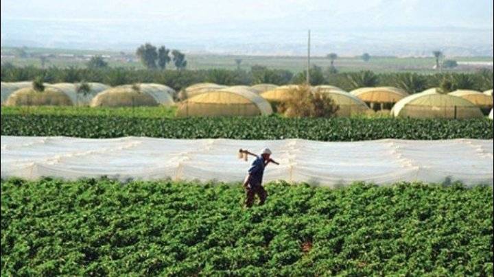 منحة بـ10 ملايين يورو للقطاع الزراعي الأردني