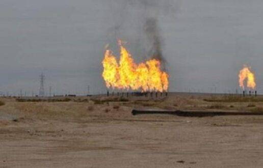 النسور: الثروات الطبيعية في الأردن غير مستغلة