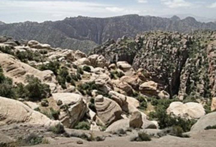 الرفوع: مجتمع ضانا لن يكون عثرة أمام تطور الاقتصاد