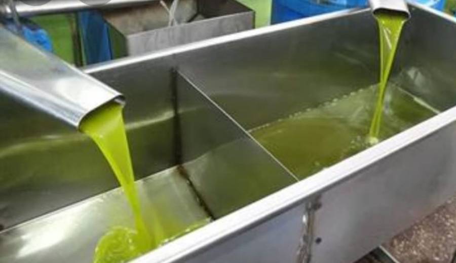 مواطنون يطالبون بايقاف العمل بمعصرة في لواء بني كنانة  وثيقة