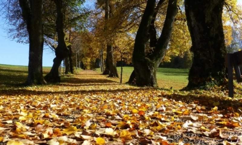 Autumn weather prevails countrywide