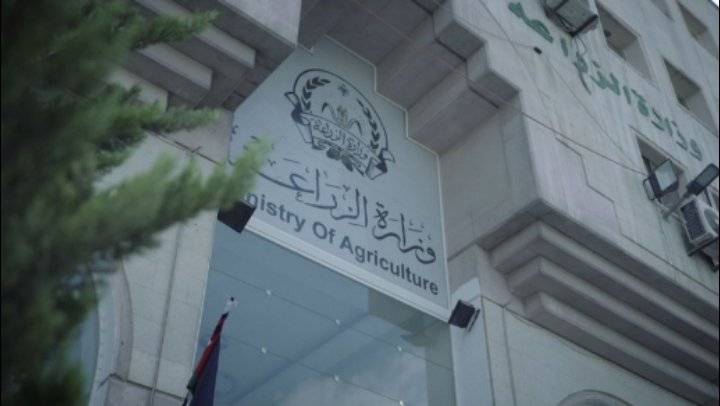 وزارة الزراعة : لن نسمح باستغلال حماية المنتج المحلي لغايات الربح الفاحش