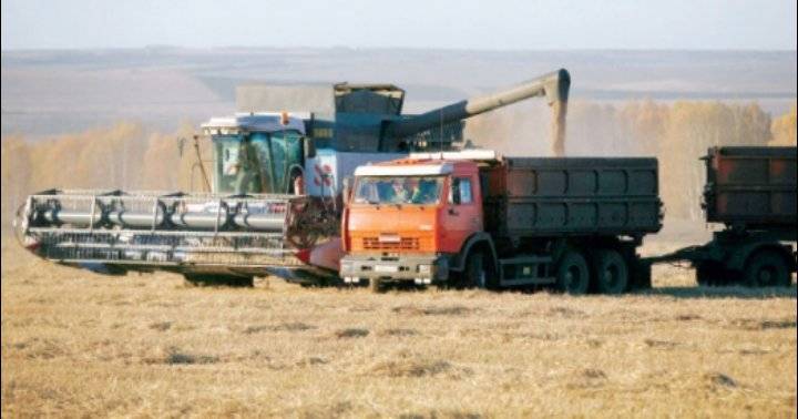 مخزون القمح يغطي استهلاك 16 شهرا