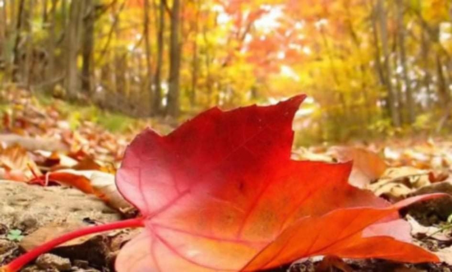 Mild autumn weather forecast nationwide