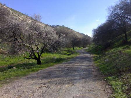 9.7 نسبة السكان في الريف الأردني