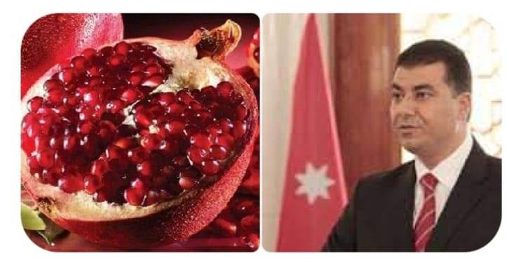 200 مشارك في مهرجان الرمان لمحافظة اربد وبرعاية وزير الزراعة