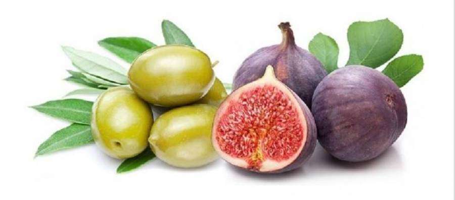 مهرجان التين والرمان والزيتون والماكولات الشعبية بعد غد في جمعية عراق الأمير