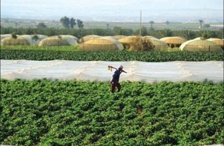 إطلاق تطبيق لمساعدة المزارعين في الأردن